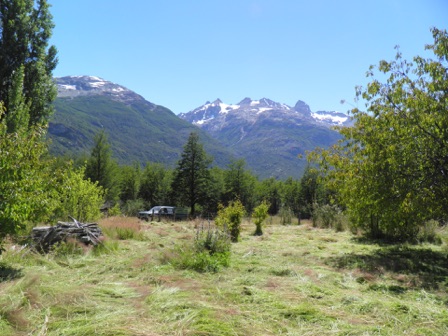 cutting hay in valley Leones