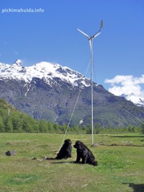 wind turbine