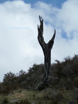 Fires Patagonia